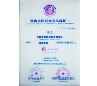 湖南國(guó)際知名品牌證書